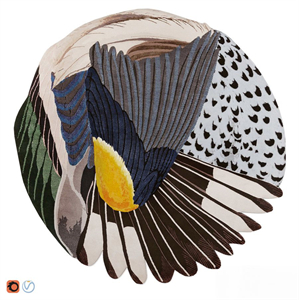 CC-Tapis Feathers Round Carpet
